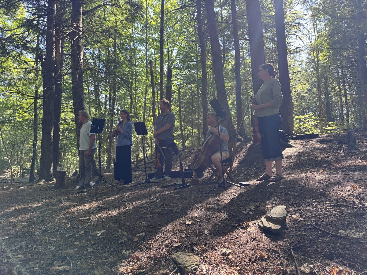Skylark performing outdoors among Vermont pines
